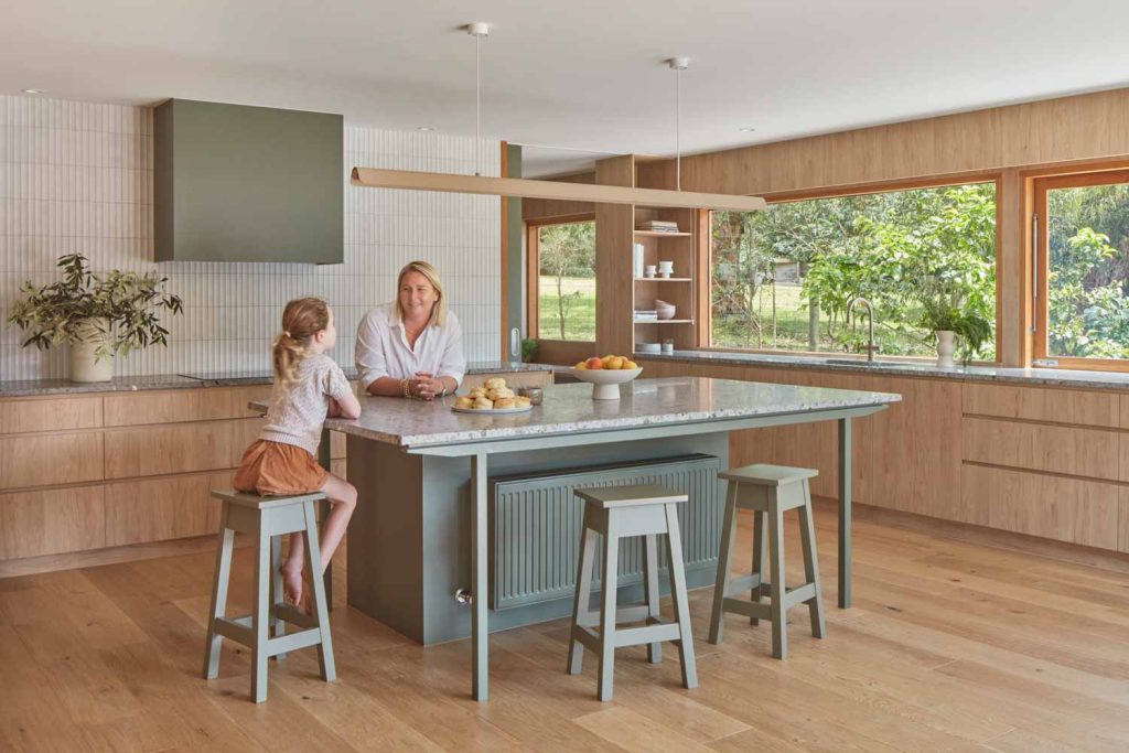 Gas Strut Servery Windows